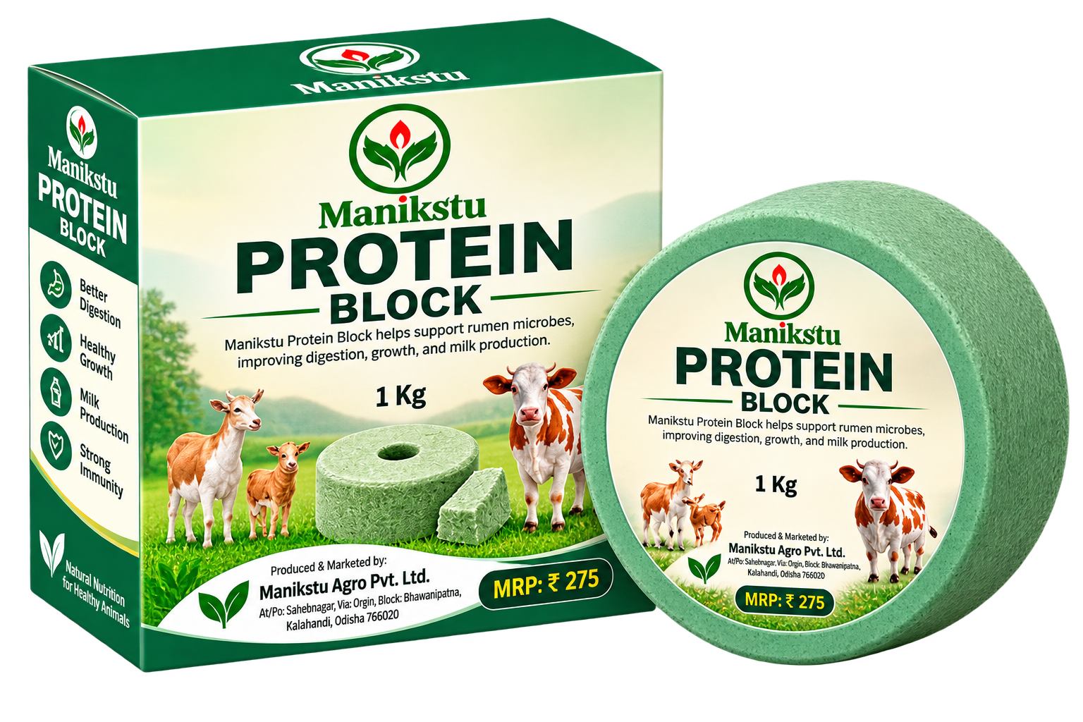 Protein Block